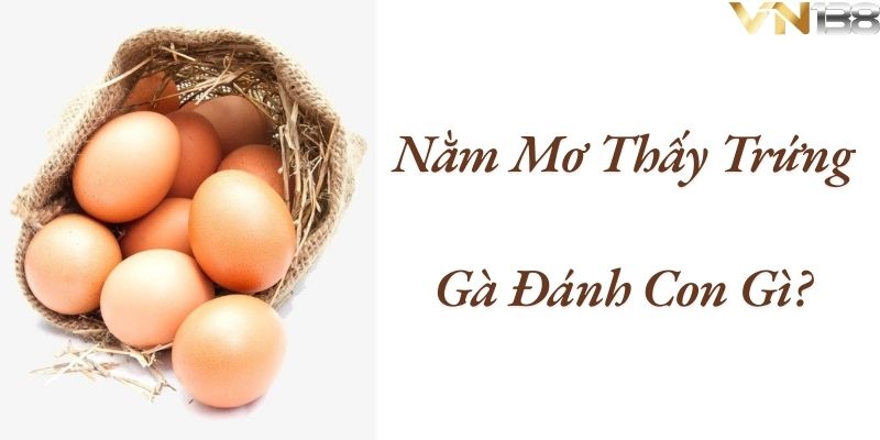 nằm mơ thấy trứng gà đánh con gì