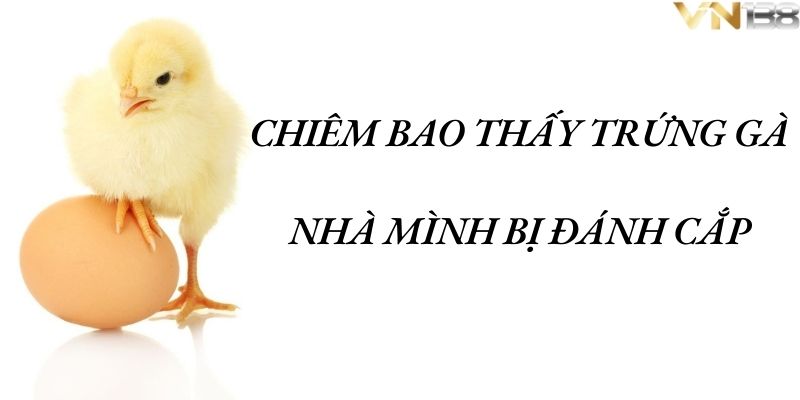 Chiêm bao thấy trứng gà nhà mình bị đánh cắp