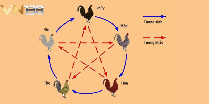 Hé lộ cách xem màu mạng gà đá cựa sắt dựa vào mùa trong năm